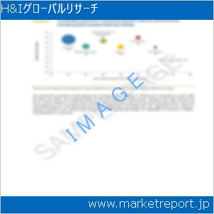 市場と産業調査レポートのイメージ